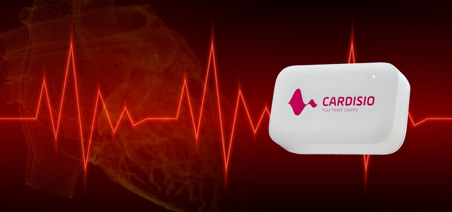 Primer Heart Center - Kalp Damar Sağlığı ve Kardiyoloji Danışmanlık Merkezi