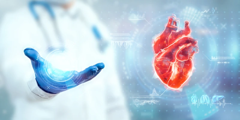 Primer Heart Center - Kalp Damar Sağlığı ve Kardiyoloji Danışmanlık Merkezi