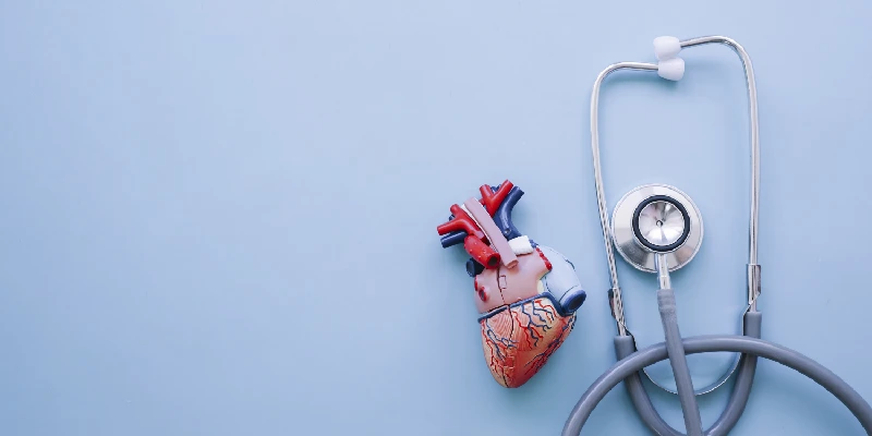 Primer Heart Center - Kalp Damar Sağlığı ve Kardiyoloji Danışmanlık Merkezi